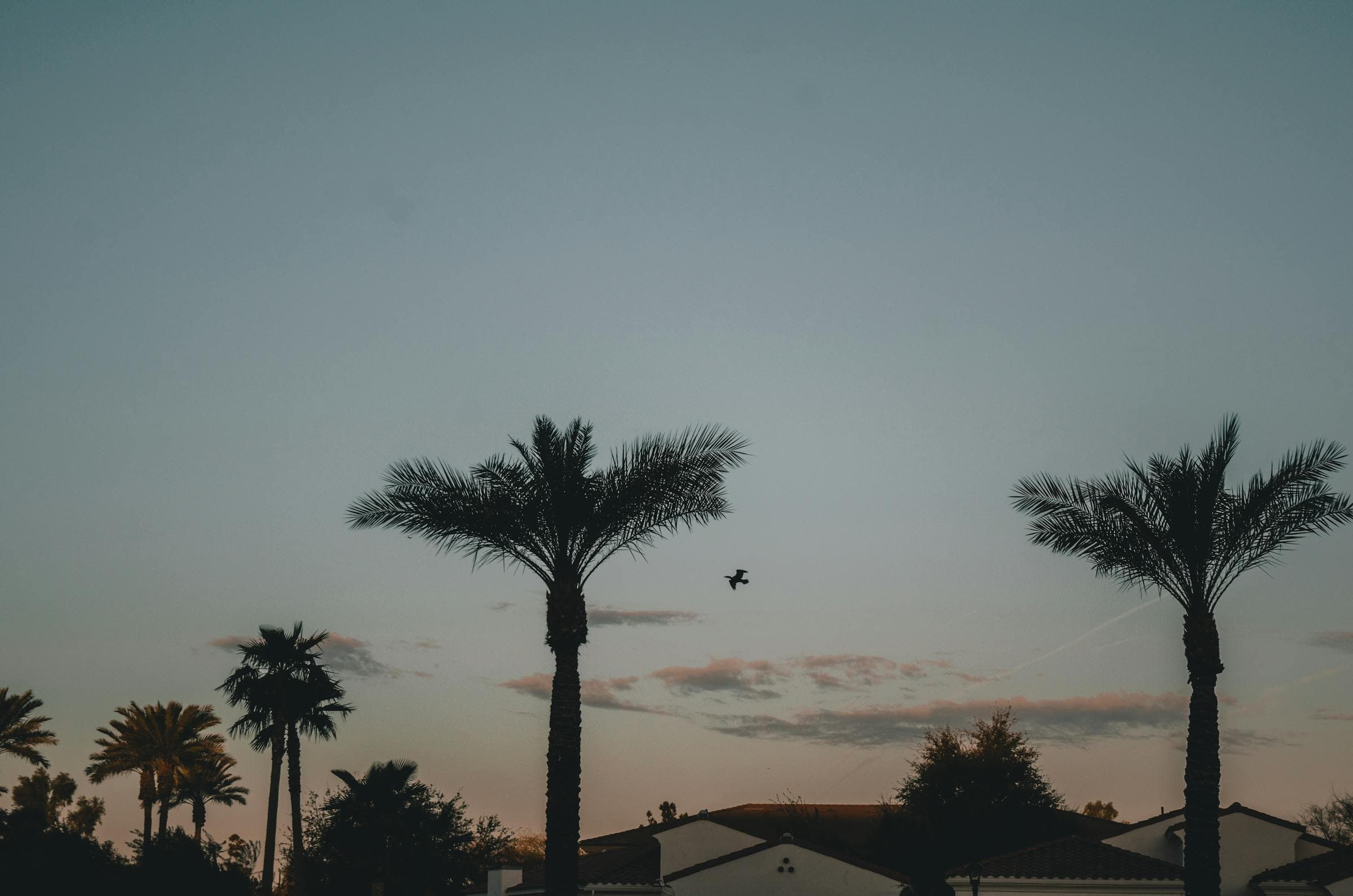 Oro Valley, Arizona neighborhood — homes BiggerEquity buys for cash