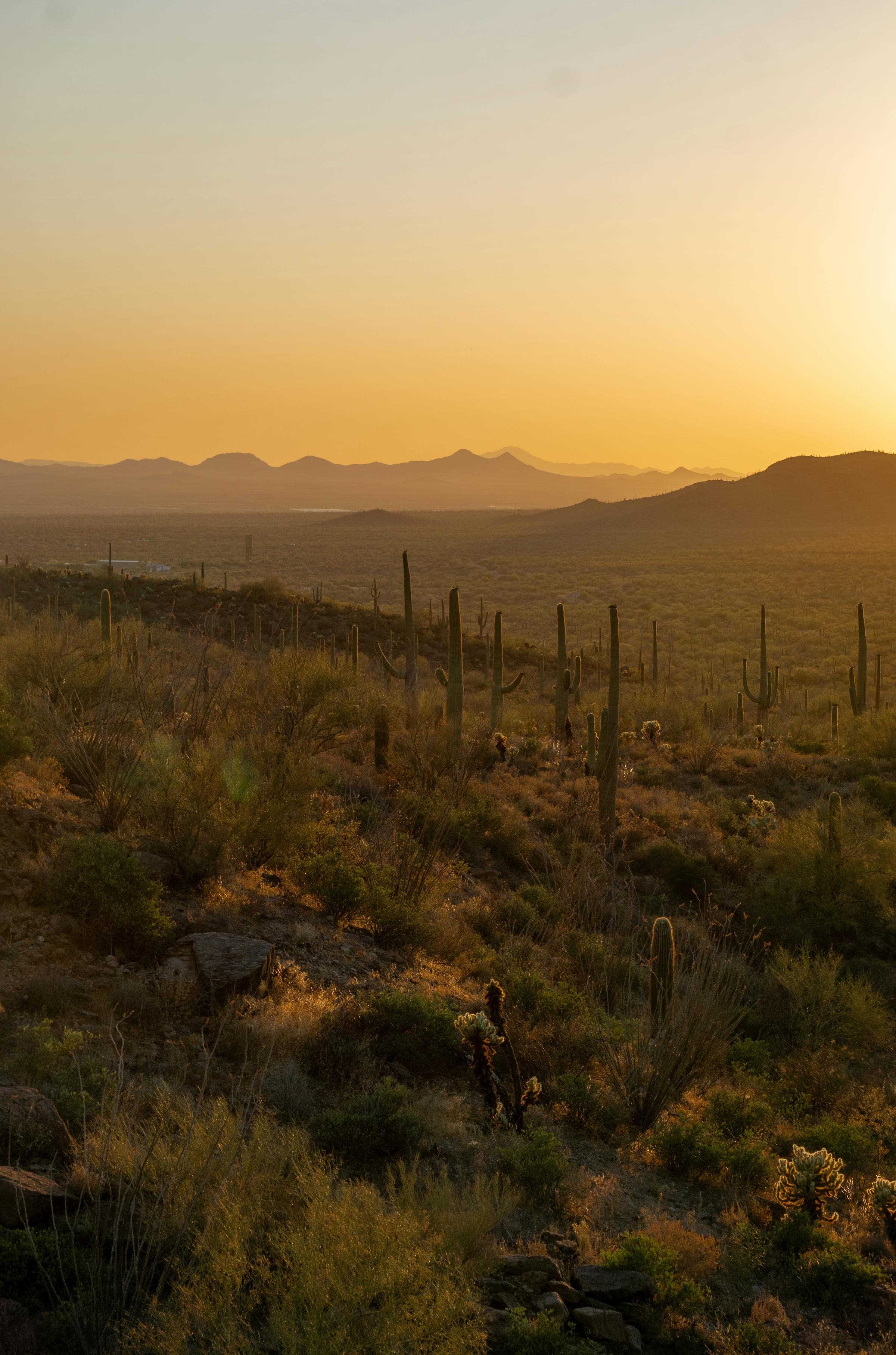 Sahuarita, Arizona neighborhood — homes BiggerEquity buys for cash