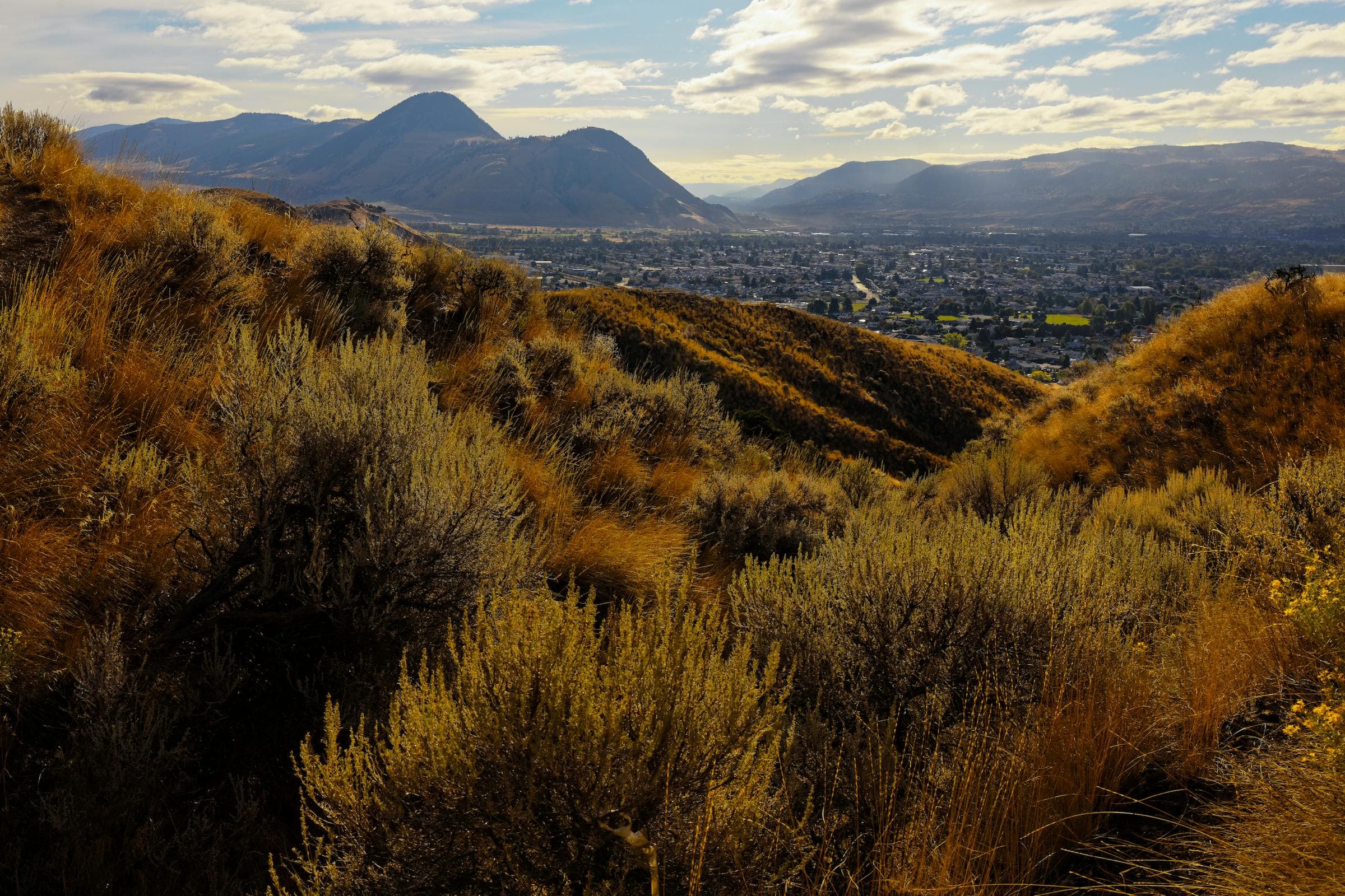 Pocatello, Idaho skyline at dusk