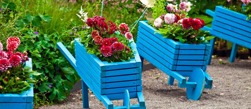 Cheap Garden Ideas